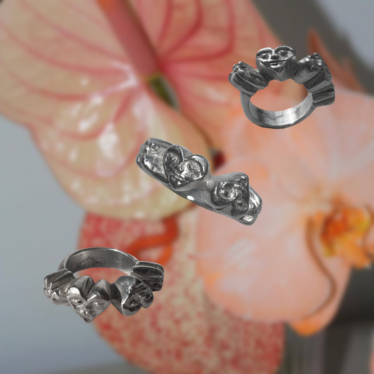 Anillo "nosotros"
